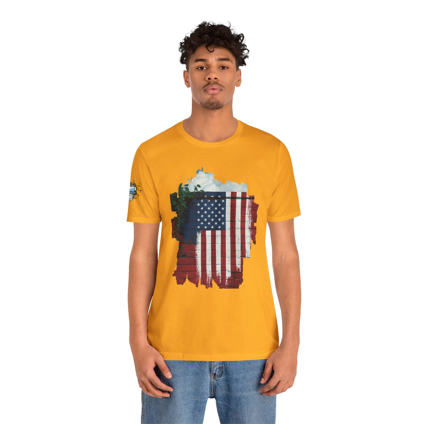 American flag tee
